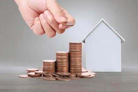 小羊财经直播：揭秘市场动向